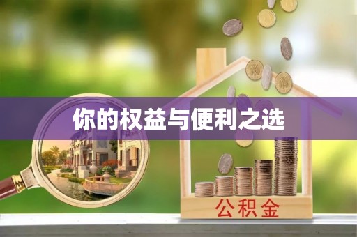 晋江你的权益与便利之选