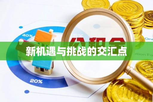 晋江新机遇与挑战的交汇点