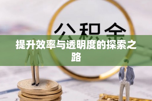 晋江提升效率与透明度的探索之路
