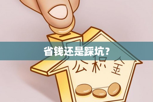 晋江省钱还是踩坑？