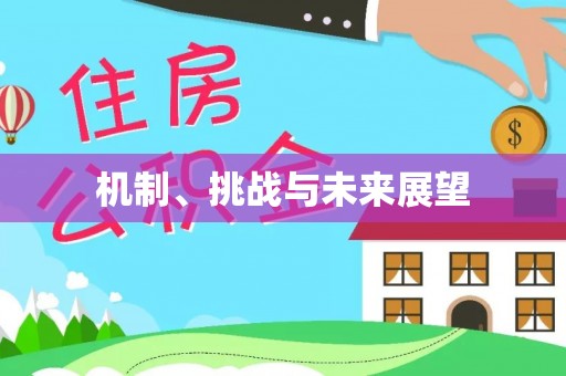 晋江机制、挑战与未来展望