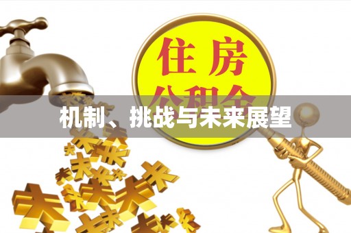 晋江机制、挑战与未来展望