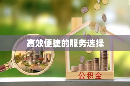 晋江高效便捷的服务选择