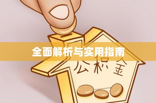 晋江全面解析与实用指南